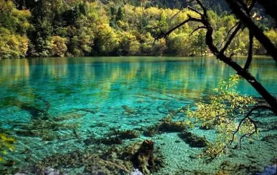 Mengenal Desa-desa Wisata di Provinsi Jambi