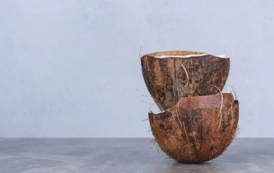 Pembuatan Pot Tanaman Hias dari Batok Kelapa Bekas Bersama Anak