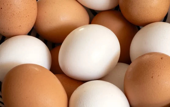 Wabah Salmonella Mengguncang AS: Jutaan Lusin Telur Ditarik dari Pasaran