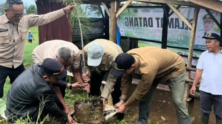 Pulihkan Lahan Kritis Melalui Program Daerah  Selasa Menanam