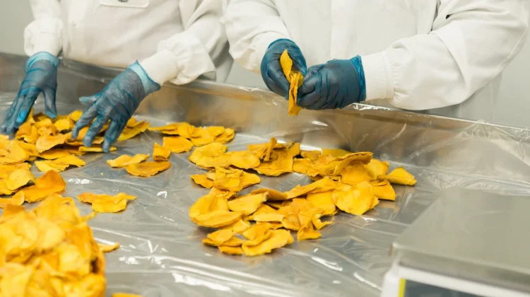 Hindari Makanan Ultra Proses untuk Tekan Risiko Kanker Usus Dini