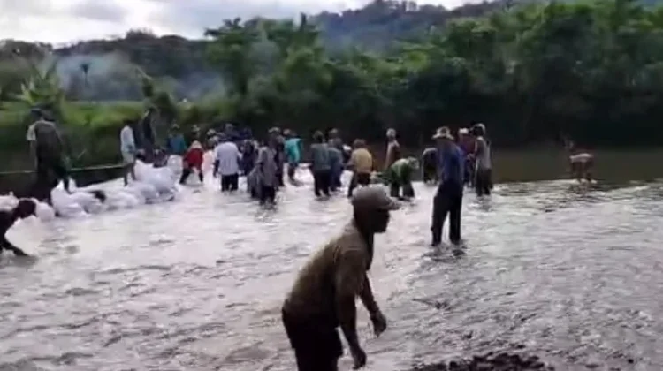 Petani Tanjungsari Bogor Alami Krisis Air Irigasi Sawah