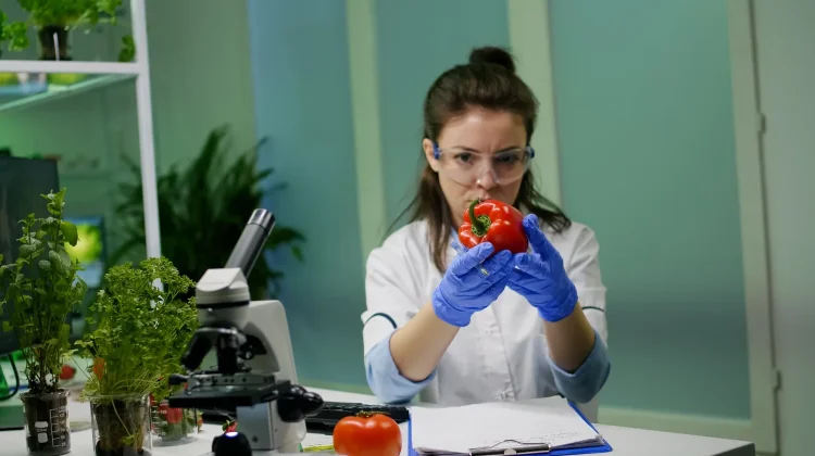 Ilmuwan Ciptakan Tomat Beraroma Popcorn lewat Rekayasa Genetik