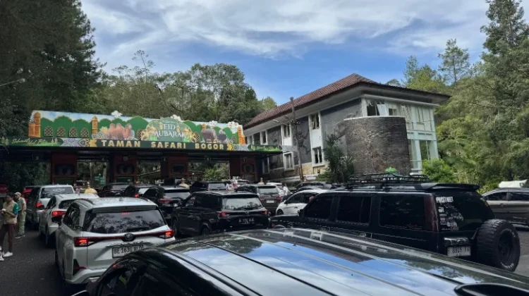 Libur Panjang ke Bogor? Jangan Lewatkan Destinasi Favorit Wisatawan Ini