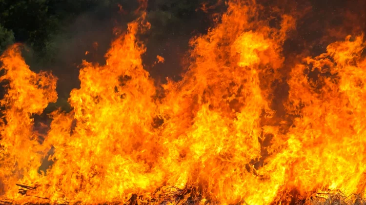 Pemkot Bogor Imbau Warga Waspada Kebakaran di Permukiman