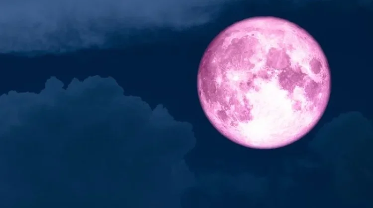 Fenomena Pink Moon 2026, Waktu dan Tips Mengamatinya
