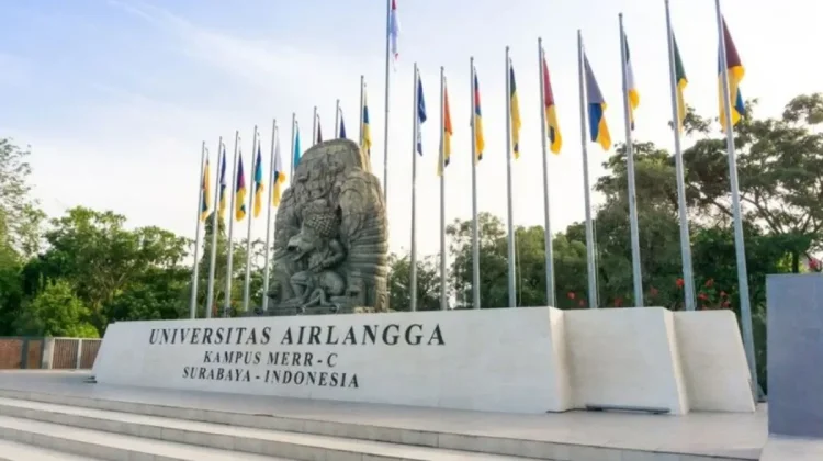 Unair Tembus Peringkat Dunia, Tiga Fakultas Ini Jadi yang Terbaik di Indonesia