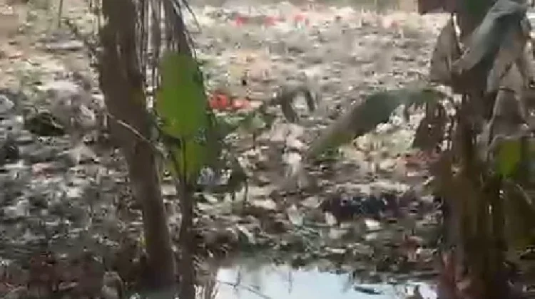 Warga Parung Bogor Resah Muncul Tempat Pembuangan Sampah Ilegal di Desa Warujaya