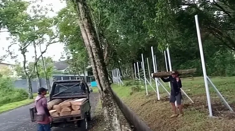 WALHI Soroti Dugaan Penebangan Liar Terjadi di Sentul City Babakan Madang