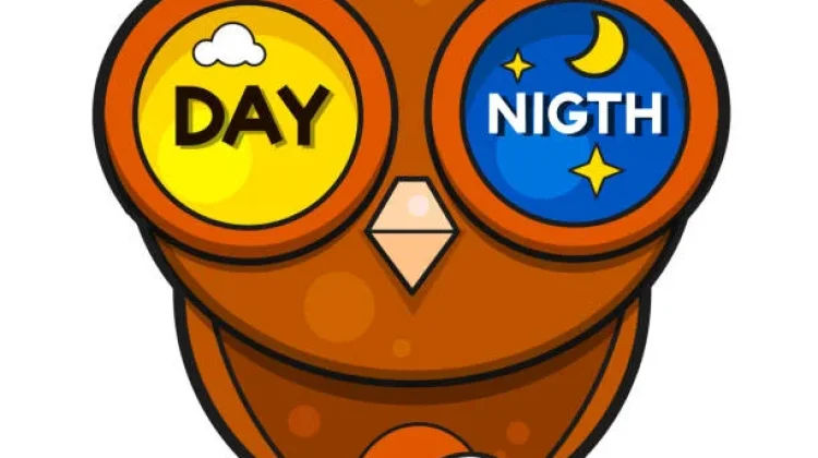 Morning Person vs Night Owl: Mana yang Lebih Produktif?