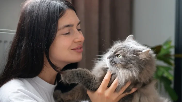 Manfaat Memelihara Kucing dari Kesehatan Jantung hingga Kesehatan Mental