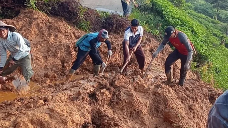 Jalan Nanggung-Jasinga Tertutup Longsor, 20 Personel Dikerahkan