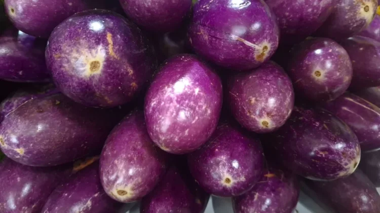 Tips Memasak Terong Lezat, Anti Lembek dan Berminyak