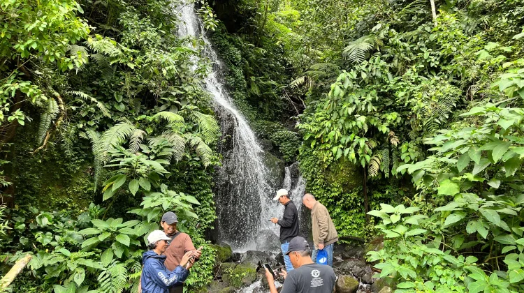Pesona Curug Cibogo di Kebun Raya Cibodas