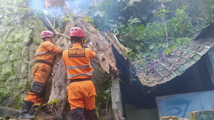 Longsor di Cibogor, Dua Rumah Warga Terdampak
