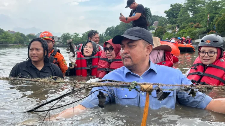 Ratusan Kilogram Ikan Sapu-Sapu Berhasil Diangkat dari Sungai di Kabupaten Bogor