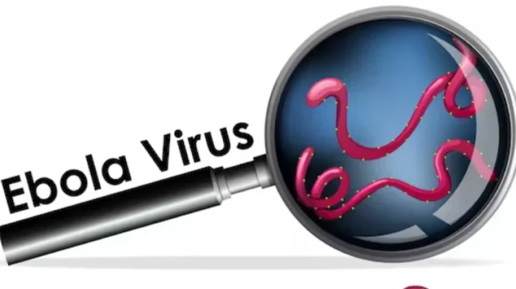 Virus Ebola Merebak di Republik Demokrat Kongo