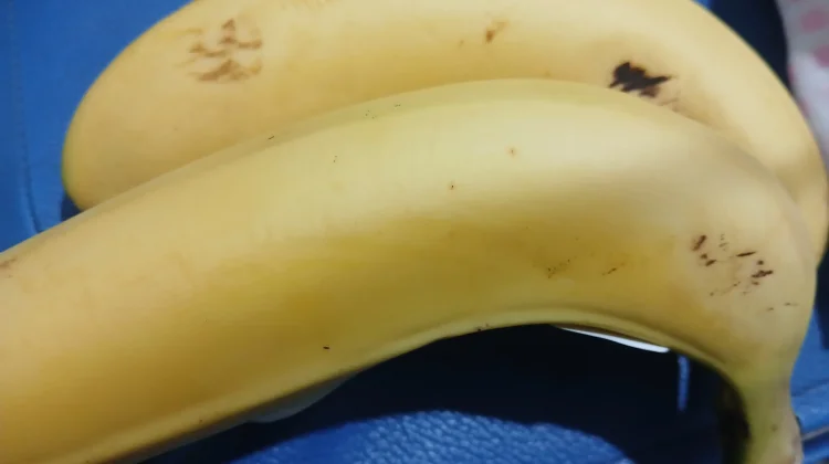 Tips Memilih Pisang Alami, Hindari Karbitan dan Pematangan Buatan