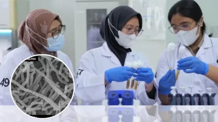 Penemuan Langka, Bakteri dari Indonesia Tahan Suhu Ekstrem