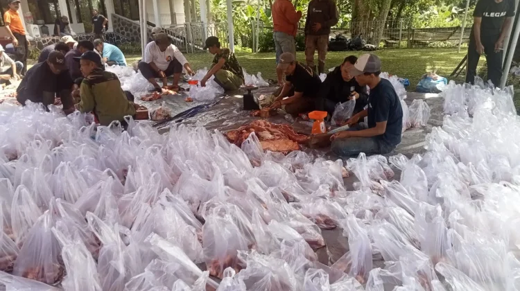PTPN 1 Regional 2 Gunung Mas Bagikan Ratusan Kantong Daging Kurban Idul Adha 1447 H