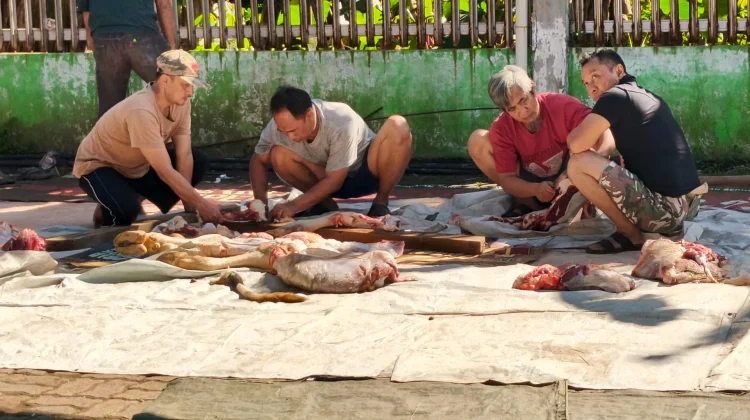 Cara Menghilangkan Bau Amis Daging Kurban agar Tetap Segar dan Lezat