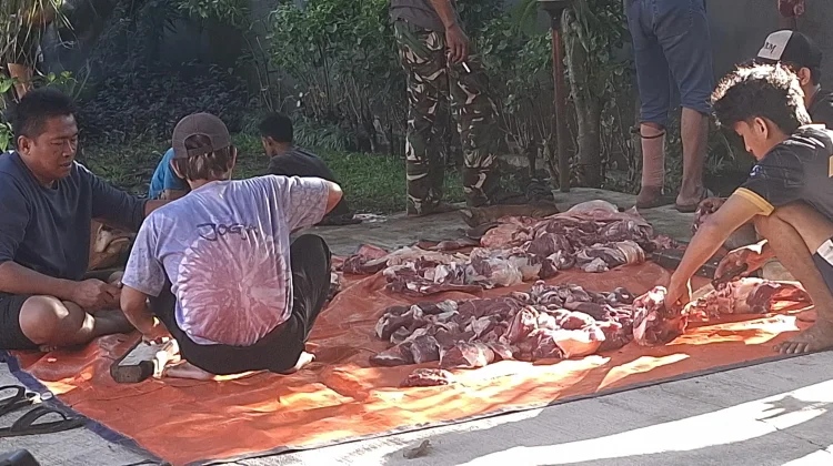 Dinkes Kota Bogor Awasi Pemotongan Hewan Kurban