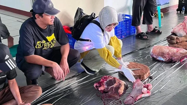 Ribuan Hewan Kurban jadi Sasaran Pemantauan DKPP Kota Bogor Selama Idul Adha