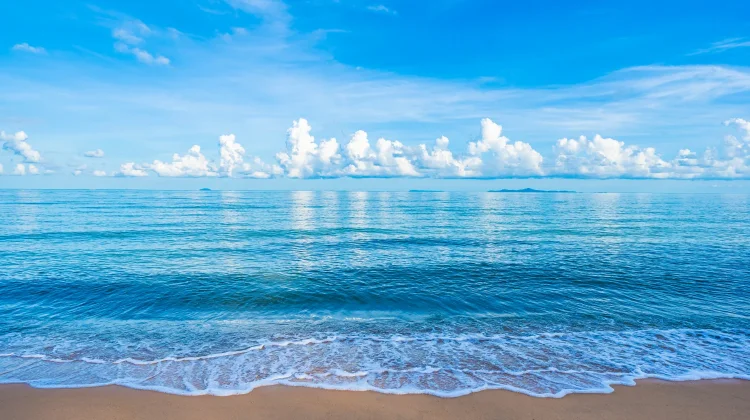 Sudah Tahu Belum? Setiap 8 Juni Diperingati sebagai Hari Laut Sedunia