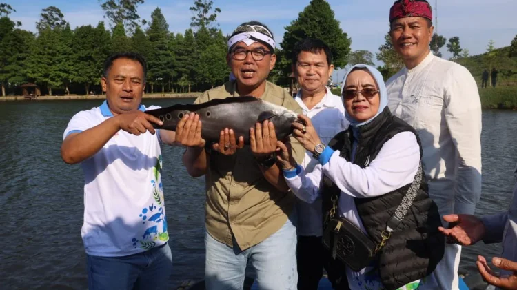 Pemkab Bogor Kembangkan Budidaya Air Tawar di Hulu dan Hilir