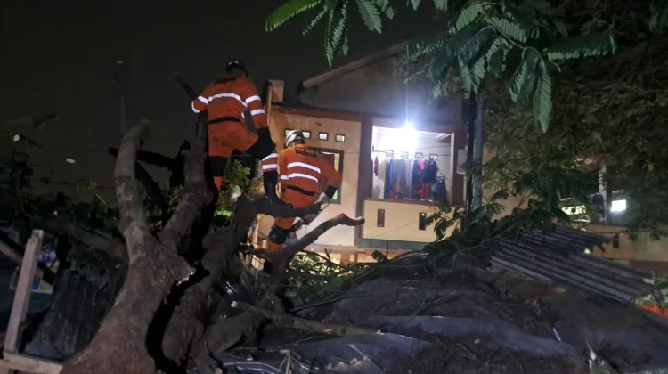 Pohon Tumbang Timpa Rumah Warga dan Warung di Cimahpar