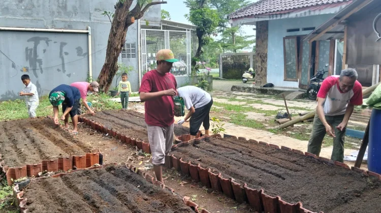 Panen Kangkung Perdana Warga Laladon Wujudkan Kemandirian Pangan Bersama