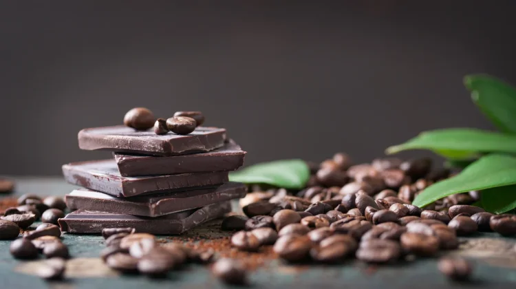 Bukan Sekadar Camilan, Cokelat Hitam ternyata Punya Manfaat untuk Kesehatan Otak