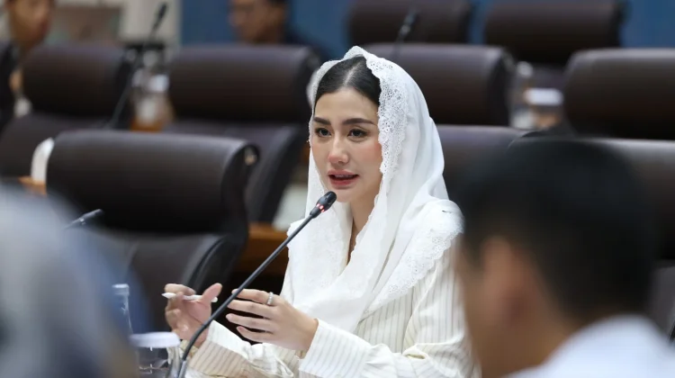 Anggota Komisi VII DPR RI Soroti Lemahnya Pertumbuhan Perfilman