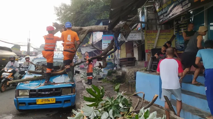 Pohon Tumbang Timpa Kios dan Angkot di Kedunghalang