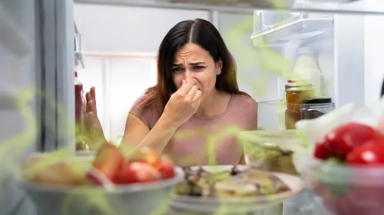 Tips Menghilangkan Bau Tak Sedap pada Kulkas agar Tetap Segar dan Higienis