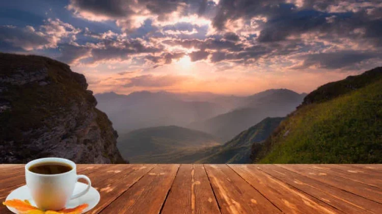 Mood Booster sebelum Senin: Musik, Jalan Pagi, atau Secangkir Kopi?