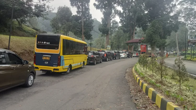 Libur Sekolah 2026, Gunung Mas Siapkan Glamping dan Wahana Pemandian Air Dingin