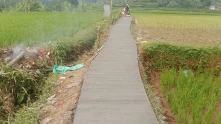 Jalan Setapak Desa Pancawati Caringin Bogor Akhirnya Dibangun Pemerintah