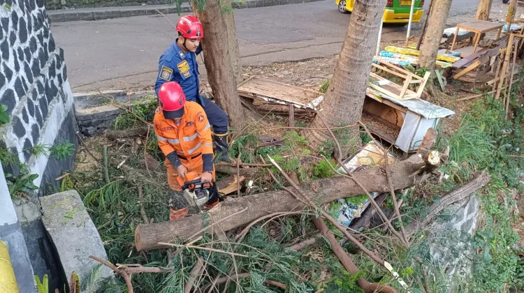 Pohon Tumbang di Kebonpedes Sempat Tutup Akses Jalan