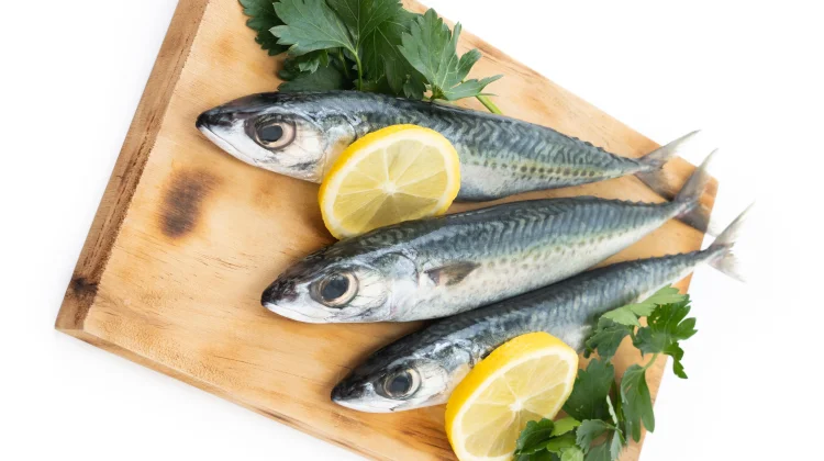 Ikan Tongkol Bernutrisi Tinggi untuk Gaya Hidup Sehat