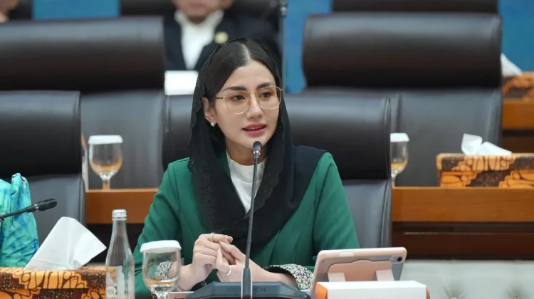 Pembekuan Saldo Ecommerce Dinilai jadi Bukti Negara Gagal Lindungi UMKM Digital