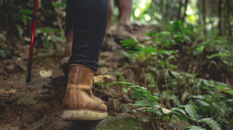 Hiking Tingkatkan Kebugaran Kurangi Stres dan Risiko Penyakit