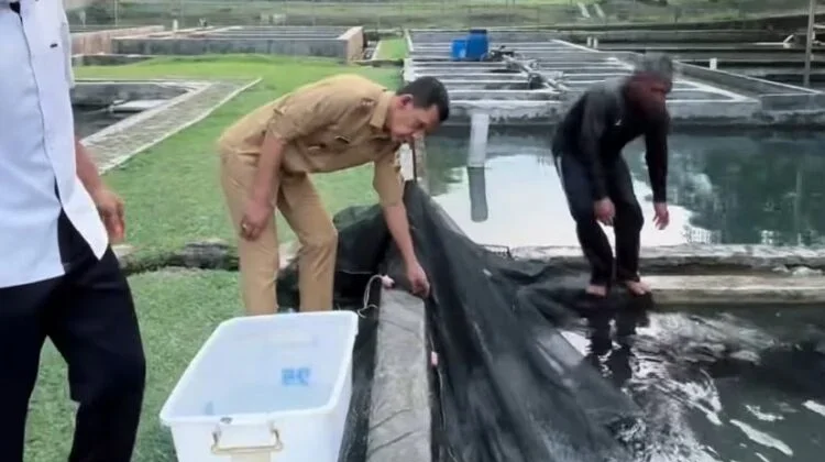 Wabup Bogor Dorong Penguatan Perikanan Air Tawar di Balai Riset di Cijeruk