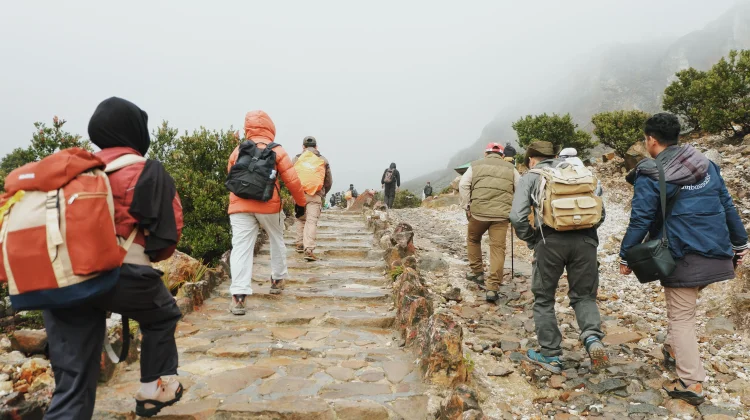 Mengenal Perbedaan Hiking dan Trekking sebelum Menjelajah Alam