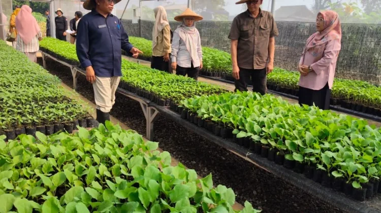 Distanhorbun Kabupaten Bogor Terus Dorong Ketahanan Pangan Masyarakat