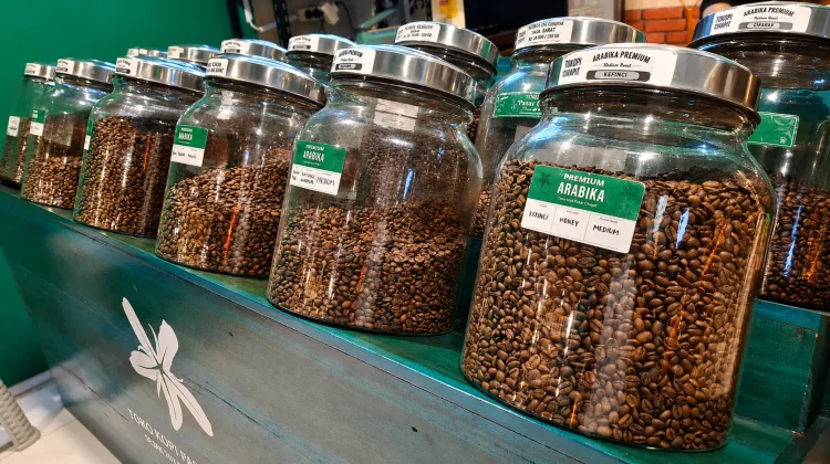 Kopi Arabika Gayo, yang Diakui Sebagai Salah Satu Biji Kopi Terbaik Dunia