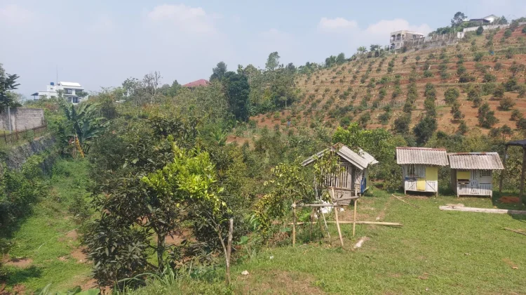 Kelompok Tani Salak Jaya di Cigombong Desak BPN Ukur Ulang Tanah