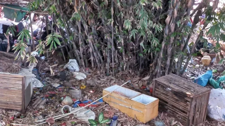 Camat Cibinong: TPS Ilegal di Cibinong jadi Tempat Pembuangan Sampah Warga Depok
