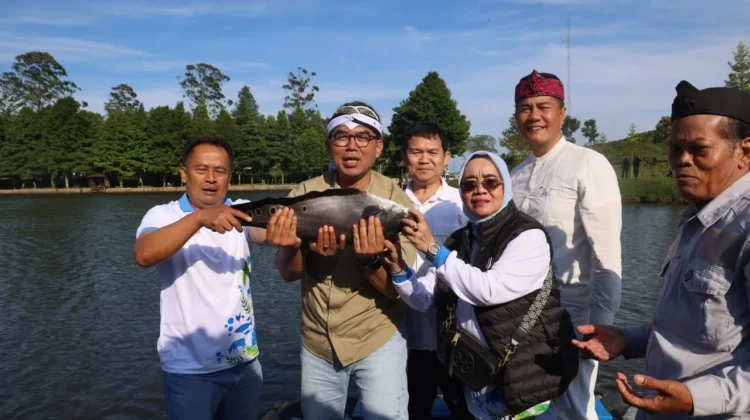 Peneliti UI Temukan Ikan Alien di Talaga Saat Puncak Bogor