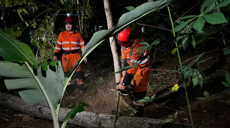 Bencana Angin Kencang Tumbangkan Pohon Mendi di Rancamaya